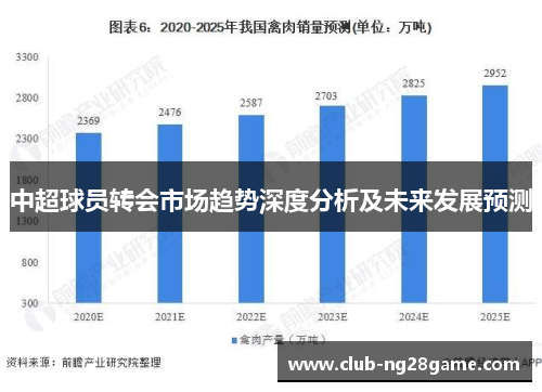 中超球员转会市场趋势深度分析及未来发展预测