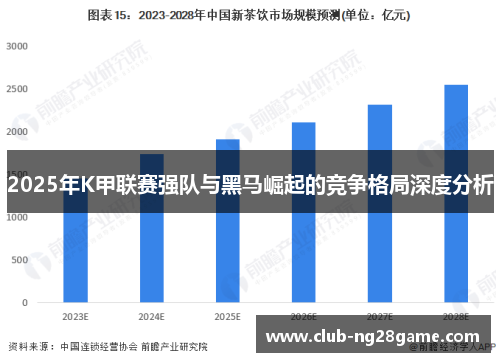 2025年K甲联赛强队与黑马崛起的竞争格局深度分析