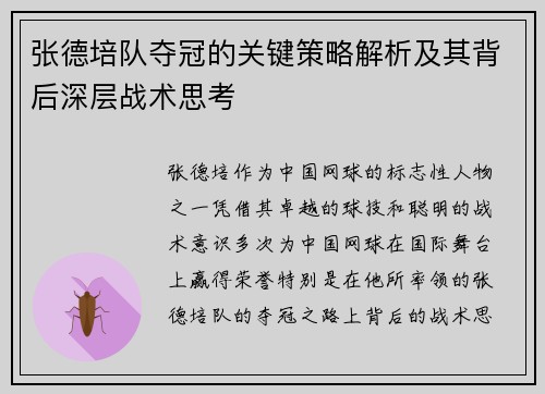 张德培队夺冠的关键策略解析及其背后深层战术思考