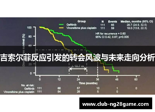 吉索尔菲反应引发的转会风波与未来走向分析