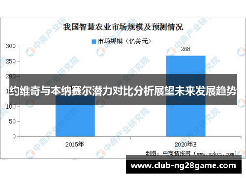 约维奇与本纳赛尔潜力对比分析展望未来发展趋势
