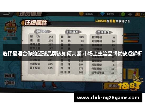 选择最适合你的篮球品牌该如何判断 市场上主流品牌优缺点解析