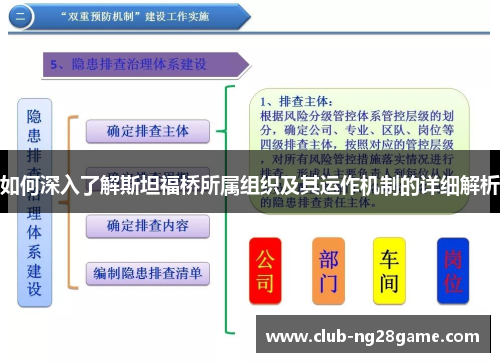 如何深入了解斯坦福桥所属组织及其运作机制的详细解析