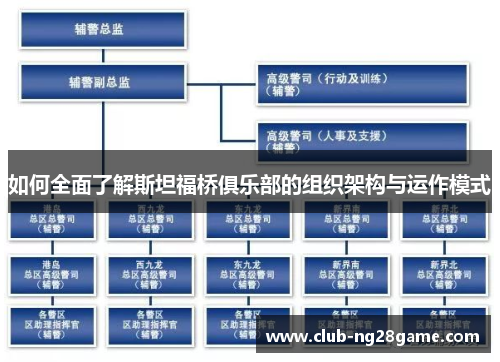 如何全面了解斯坦福桥俱乐部的组织架构与运作模式